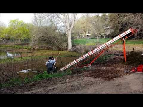 how to harvest duckweed