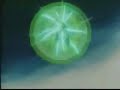 Dragon Ball-Goku vs Broly-Hanno ucciso l\ Dragon Ball-Goku vs Broly-Hanno ucciso l\