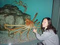 Biggest Crabs in the World!!!