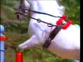 Lipizzaner TV Spot