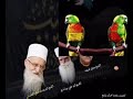 The World Druze