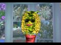 Life Science Sample Clip