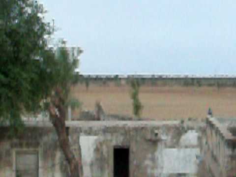 bilara