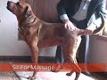 See video