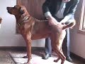 See video