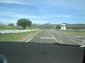 Pachas dandole en PTD3 CCM (2)