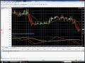 Forex tracer live account  results for 8-29-08