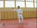 Zu Xu Dong  Tai Chi Chen