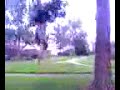 steven Garza running up a tree