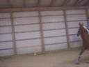 ben jumping