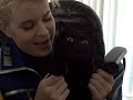 I am kitty cat- expo style