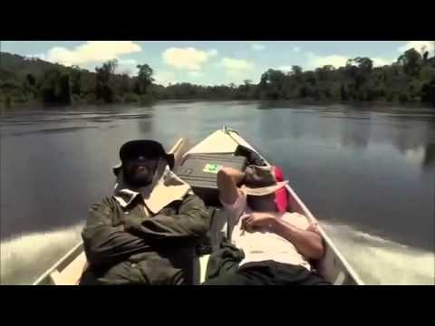 Amazonien - Der Amazonas - DoKu 2014