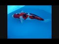 200082 Shintaro Sanke 200082 Shintaro Sanke
