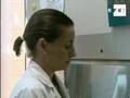 Prueba sanguínea permite conocer sexo del bebé en octava semana.