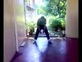 G-MAR c-walk