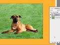 How To Use A Mask With A Feather In Adobe Photoshop cs3