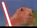 Darthmatic Chipmunk Darthmatic Chipmunk