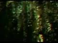 50 cent ft Justin T.&Timbaland-ayo technology RAPPY REMIX