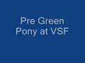 Versatile and Talented Large Pony!!