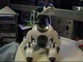 AIBO