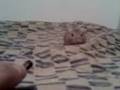 videos de PACO, MI VIEJO AMIGO