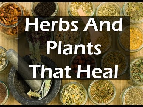 how to treat zinc deficiency in plants