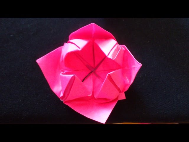Membuat Origami Bunga Lotus | cara membuat origami bunga lotus paling sederhana origami Membuat Origami Bunga Lotus | cara membuat origami bunga lotus paling sederhana origami