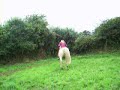 Kiki fait son spectacle