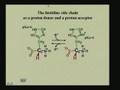 Lecture - 2 Amino Acids II