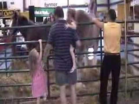 The Walker's - Norfolk County Fair 2007