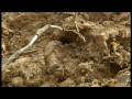 Agricultura ecològica