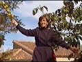 danza   el arco