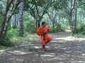 Choy Lee Fut Forma Caballo de 5 Ruedas