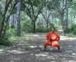Choy Lee Fut Forma Caballo de 5 Ruedas