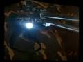 rifle 5.5 bicho