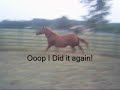 Desentising an Scarry Objects