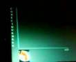 BML1905081161-David-