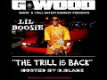 Lil boosie - swag aint nobody got