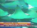 Steve Irwin's Death