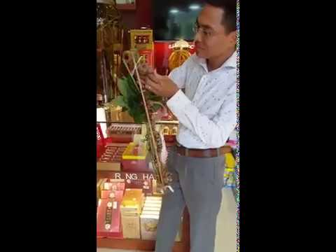 Củ sâm ngọc linh tư nhiên quý hiêm nhiều năm tuổi