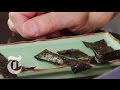 Crisp Nori Chips