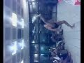Wits Zulu Cultural Society (Part 2 of 2)