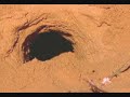 Terrestrial Biomes