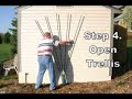 Adjustable Rose Trellis