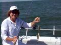 Lake Erie perch fishing :: Lake Erie perch fishing aboard the Stray Cat Monroe/Luna Pier... Site Tags