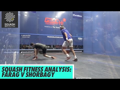Squash Fitness Analysis: Mohamed Elshorbagy v Ali Farag