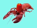 Pet Lobster