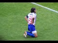Danijel Pranjic Goals