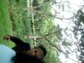 videos de Momento Biel Winehouse Parte 3