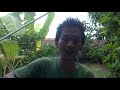IHSAN IDOL - BUNGA (cover) by Bangor